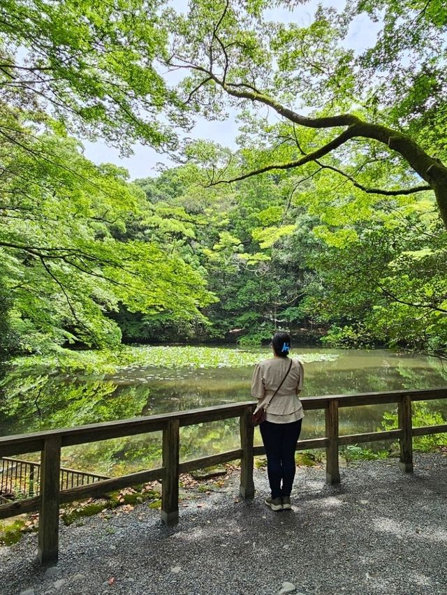 伊勢神宮洗滌心靈之旅，與自然與信仰同行⛩️🌿