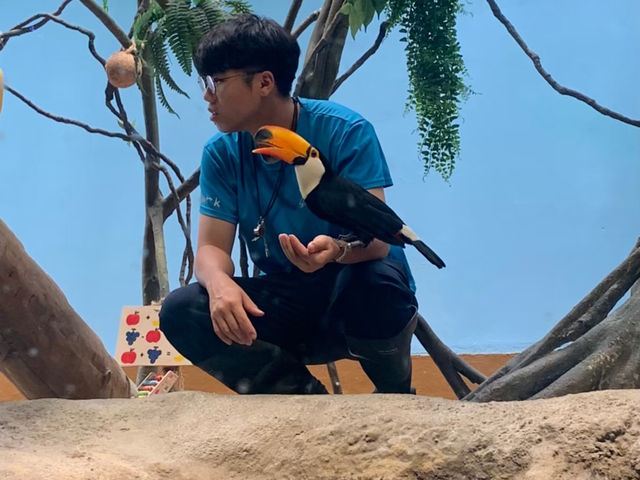 桃園Xpark：一場與海洋的悠閒邂逅
