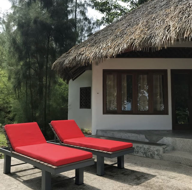  The Jungle Club