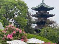 Why You Absolutely Must Explore Ueno Park in Tokyo! 🌳🐼🏛️