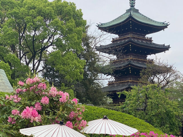 Why You Absolutely Must Explore Ueno Park in Tokyo! 🌳🐼🏛️