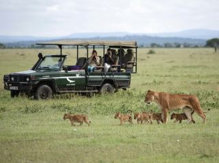 andBeyond: Luxury Safari Lodges in the African Savannah