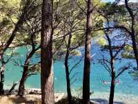 Mljet