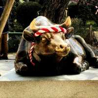 🙏ขอพรการศึกษาที่ Dazaizu Tenmangu⛩️