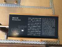 鹿兒島-仙巖園迎賓館（需額外付費）