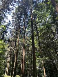 Mount Takao (Takaosan)