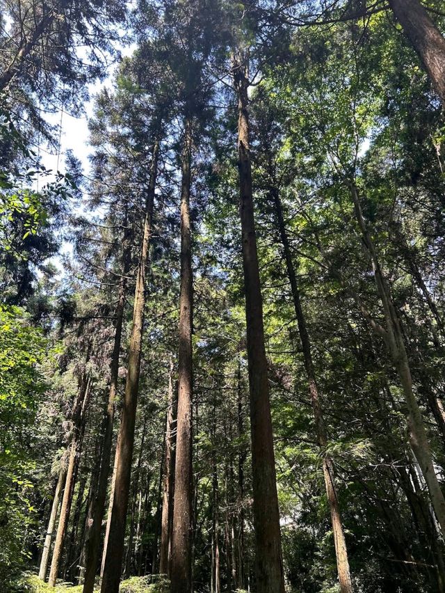 Mount Takao (Takaosan)