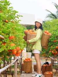 Move to Mountain Garden Cafe
