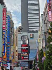 Unleashing Tokyo's Shinjuku magic ✨👏! 🐱💕 Foodie heaven, Godzilla's roar, and kindness galore❤️.