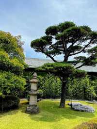 Nezu Museum: Tokyo’s Hidden Garden of Art