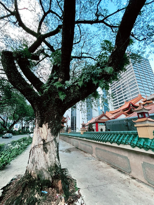 Kun Yam Thong Temple: A Tranquil Gem of Buddhist Heritage