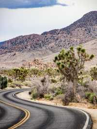 Joshua Tree National Park — A Surreal Desert Escape 🌵☀️