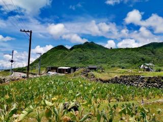 Langdao Hidden Gem