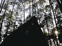 Doi Bo Luang Forest Park