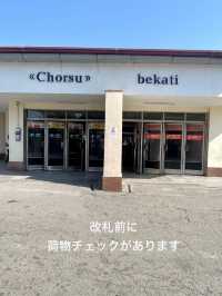 【タシケント】素敵✨タシケント地下鉄駅巡り🚃