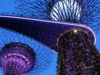Gardens by the Bay.