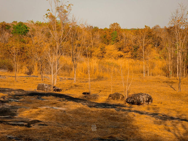 อุทยานภูหินจอมธาตุ จังหวัดอุดรธานี