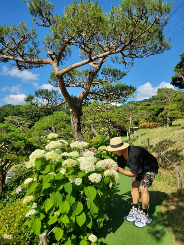 수국축제가 열리는 청주 민간정원