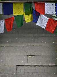 Echoes Of 700 Years: Wat Umong’s Underground Dharma