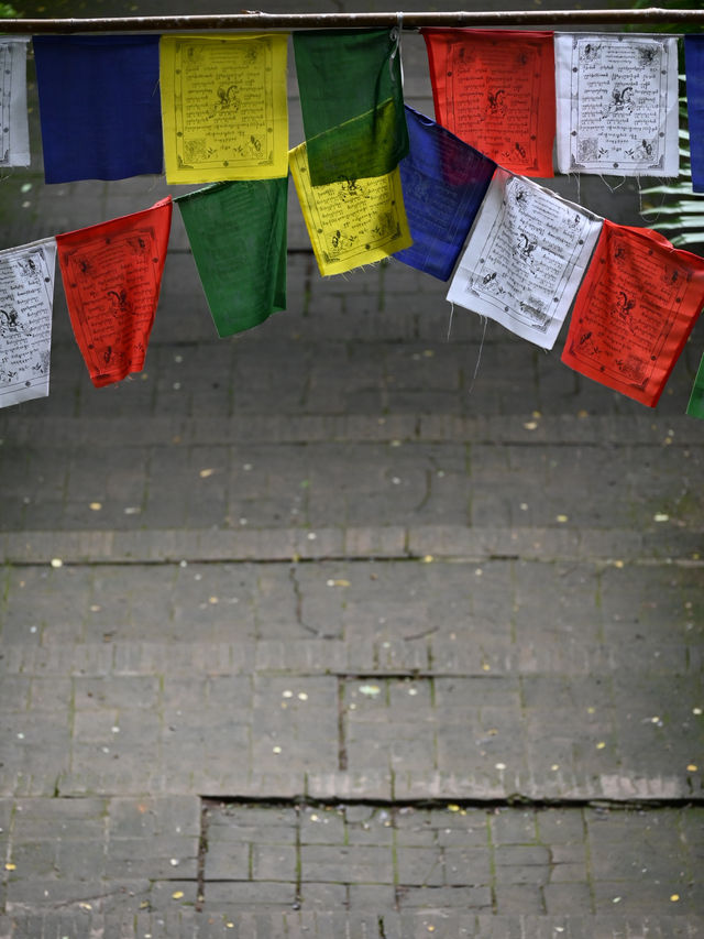 Echoes Of 700 Years: Wat Umong’s Underground Dharma