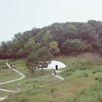 เที่ยวเกาะศิลปะ Naoshima & Teshima ผ่านกล้องฟิล์ม