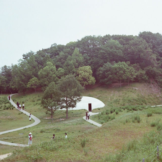 เที่ยวเกาะศิลปะ Naoshima & Teshima ผ่านกล้องฟิล์ม