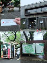 🩷 山茶花之丘  Camellia Hill 카멜리아힐 💜