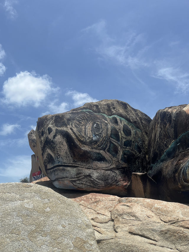 🐢 Kuantan Explore the Turtle Mural at Pantai Pelindung