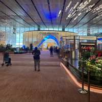         SINGAPORE CHANGI AIRPORT  