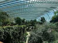Global Gardens in One Dome