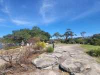 Balmoral Beach