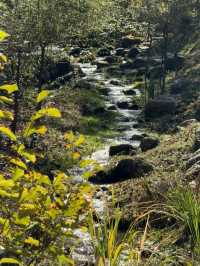 🇰🇷 Seoul Day Trip: Jade Garden, Chuncheon – Your Outdoor Oxygen Oasis! 🌿🌸