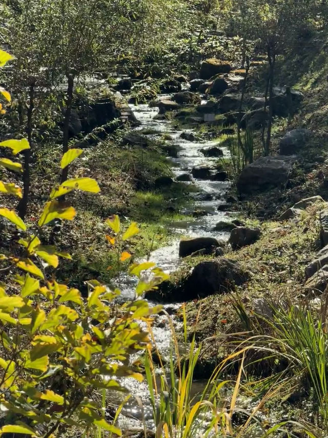 🇰🇷 Seoul Day Trip: Jade Garden, Chuncheon – Your Outdoor Oxygen Oasis! 🌿🌸