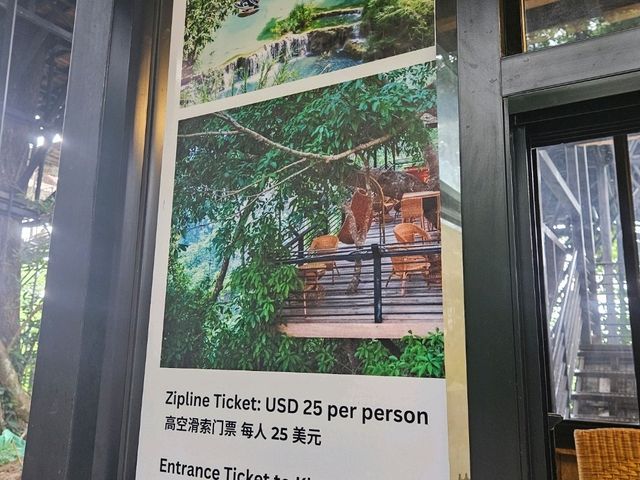 라오스 여행이라면 꼭~~!! 루앙 프라방 꽝시폭포