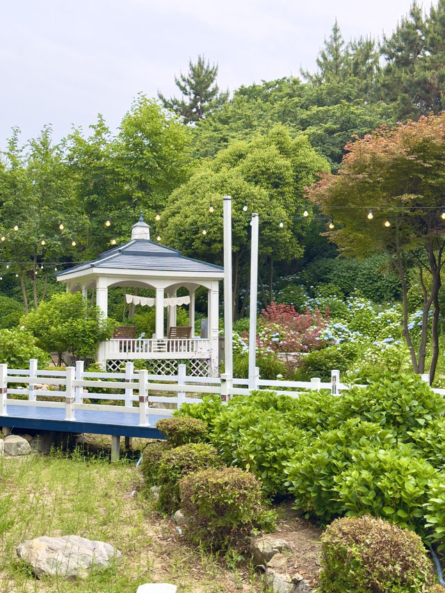 알록달록 수국이 예쁜 장생포고래문화마을 