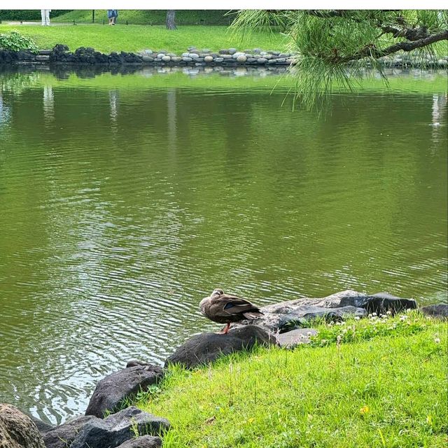 Hamarikyu Gardens