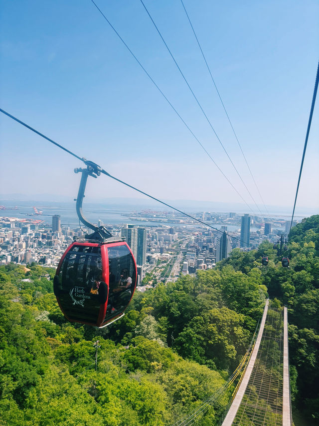 神戸観光でおすすめ💓神戸布引ハーブ園🌱