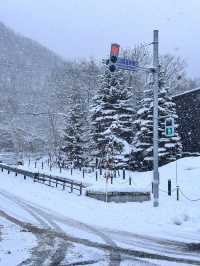 여름에 더 생각나는 삿포로의 겨울 🏔️
