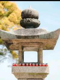 🏯🇯🇵日本大阪必去景點（五）勝尾寺