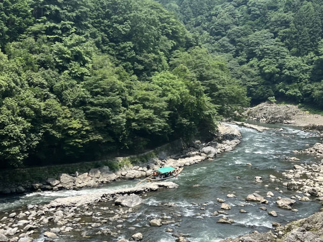 Kyoto: Arashiyama Bamboo Grove & A Taste of Kyoto! 🎋🍜