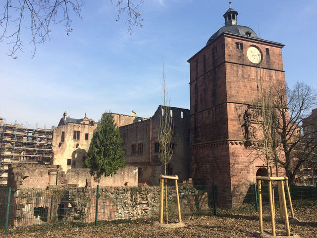 【ハイデルベルク城｜“ドイツロマンの象徴✨赤い古城の遺跡”】