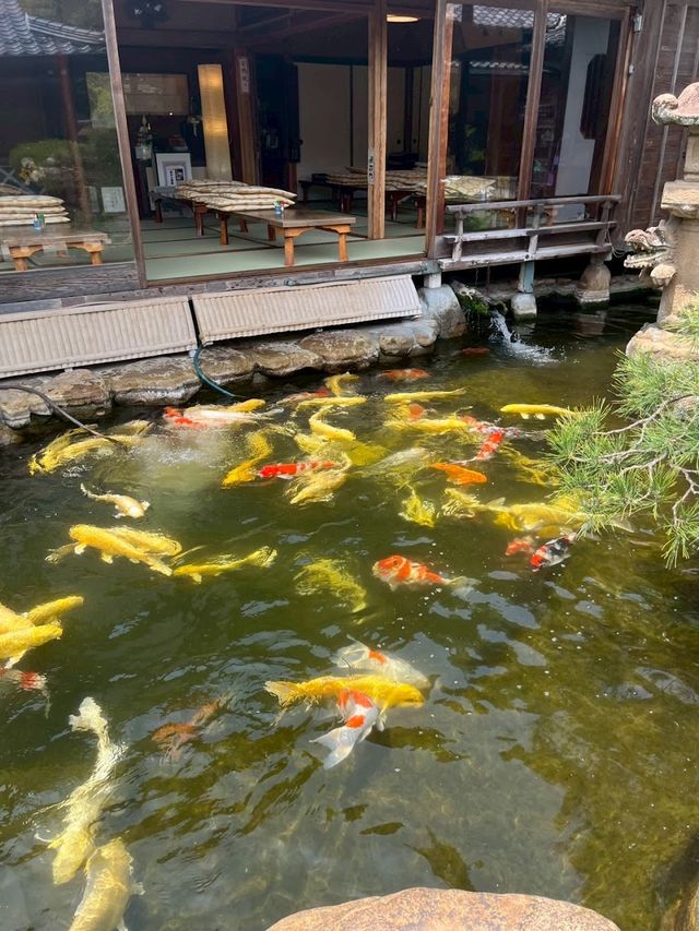 🏯 松江城一日遊：古城風華、武士老街與絕美蕎麥麵！✨