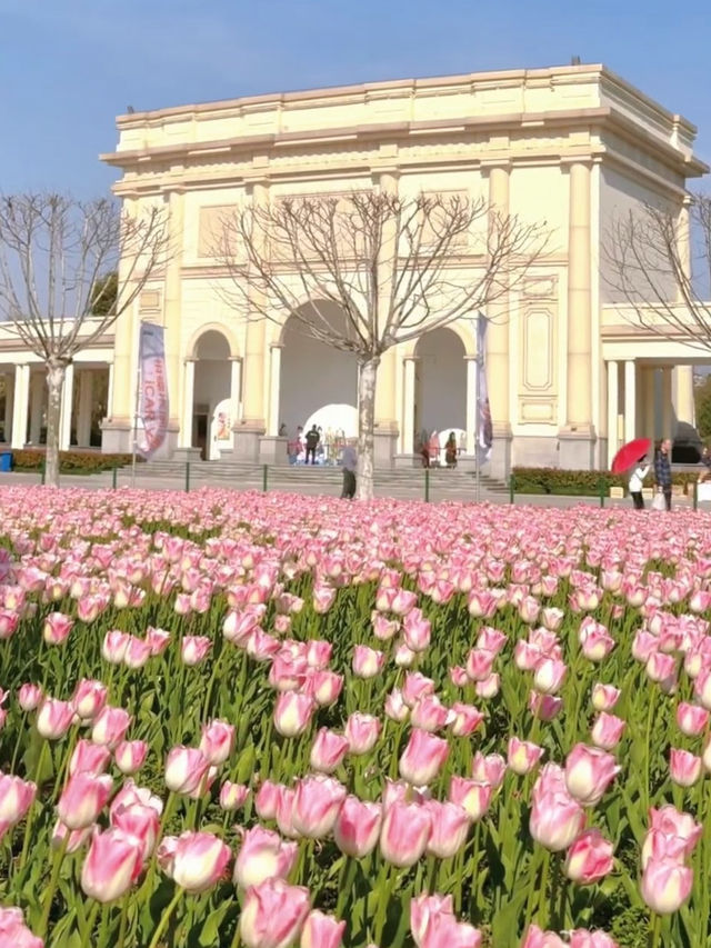 Secret Rose Field in Shanghai | Hidden Floral Wonderland with a White Castle 🌹🏰