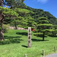 回憶的旅行片段，歐洲、日本