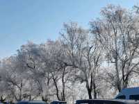 Rime Ice Wonderland