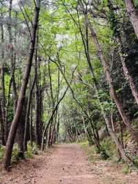 A Picturesque Hike Through Jeju's Volcanic Landscape