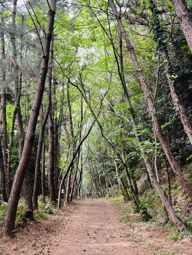 A Picturesque Hike Through Jeju's Volcanic Landscape