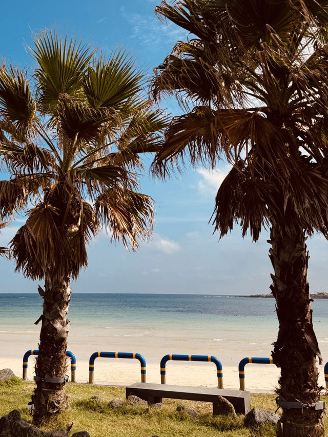 The Ideal Beach for Families and Safe Water Play