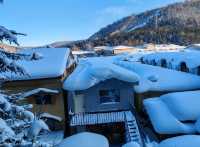 Snow Town Fairytale: The Winter Charm of Mushroom Houses