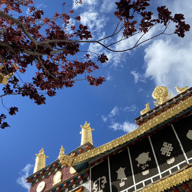 Ganden Sumtseling Monastery’s Golden Glow